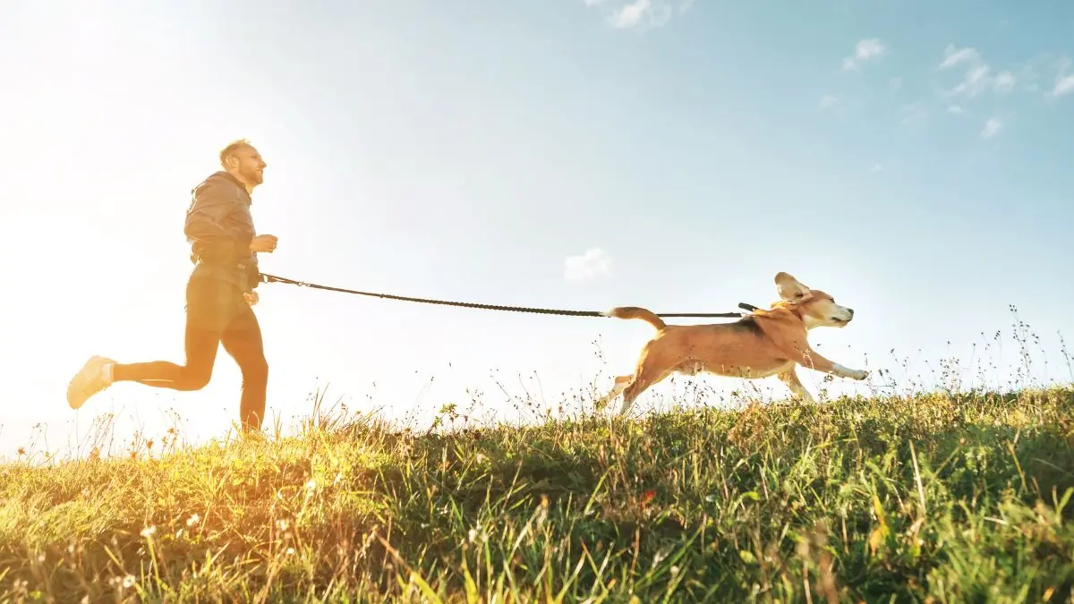 man running outdoors with dog male mental health