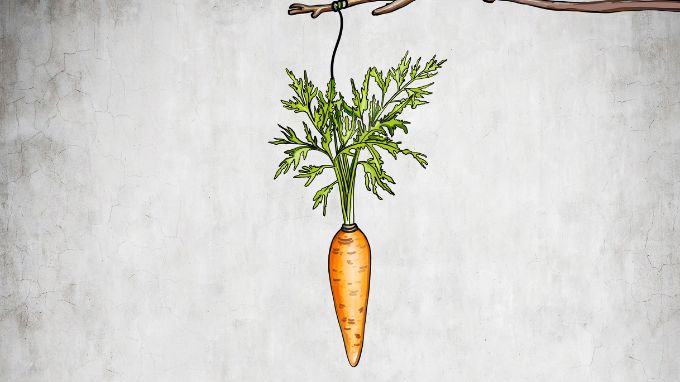 carrot hanging from a stick
